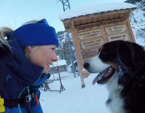 Ski touring Tignes with Isly the bernese mountain dog